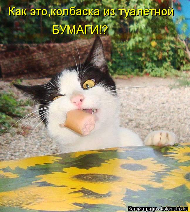 БУМАГИ!? Как это,колбаска из туалетной... Котоматрица: БУМАГИ!? Как это,колбаска из туалетной