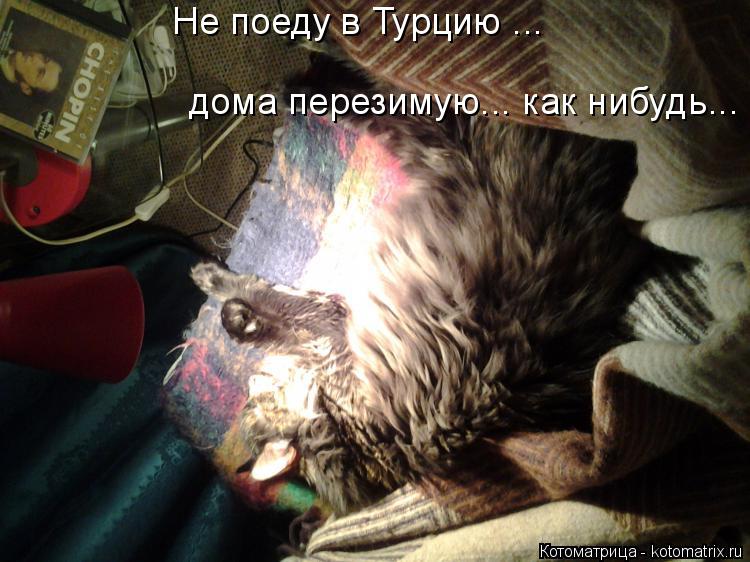 Котоматрица: дома перезимую... как нибудь... Не поеду в Турцию ...