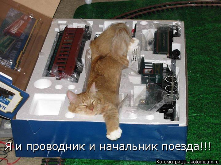 Котоматрица: Я и проводник и начальник поезда!!!