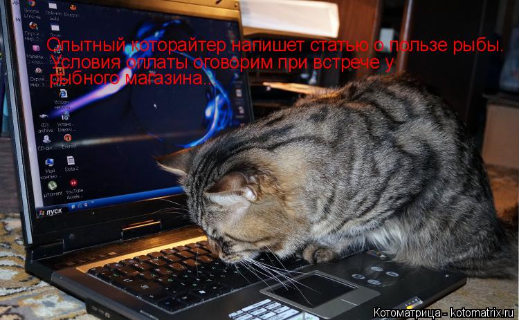 Опытный которайтер напишет статью о пользе рыбы. Условия оплаты оговорим при встрече у рыбного магаз... Котоматрица: Опытный которайтер напишет статью о пользе рыбы. Условия оплаты оговорим при встрече у рыбного магазина...