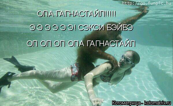 ОПА ГАГНАСТАЙЛ!!!!! Э Э Э Э Э Э! СЭКСИ БЭЙБЭ ОП ОП ОП ОПА ГАГНАСТАЙЛ... Котоматрица: ОПА ГАГНАСТАЙЛ!!!!! Э Э Э Э Э Э! СЭКСИ БЭЙБЭ ОП ОП ОП ОПА ГАГНАСТАЙЛ