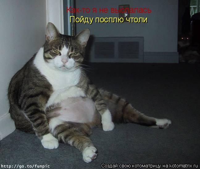 Как-то я не выспалась Пойду посплю чтоли... Котоматрица: Как-то я не выспалась Пойду посплю чтоли