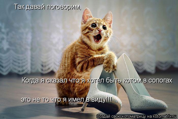 Котоматрица: Так давай поговорим, Когда я сказал что я хотел быть котом в сопогах это не то что я имел в виду!!!