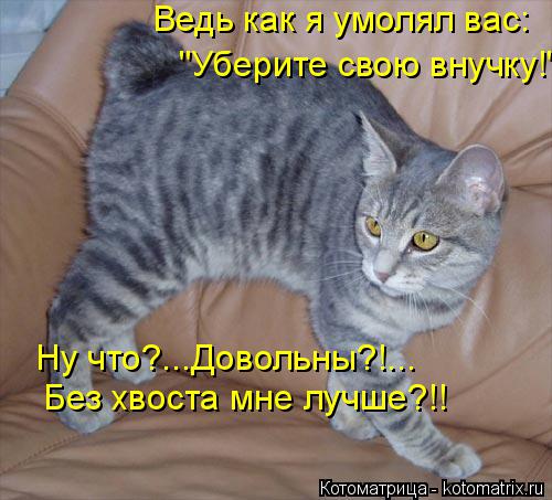 "Уберите свою внучку!" Ведь как я умолял вас: Ну что?...Довольны?!... Без хвоста мне лучше?!!... Котоматрица: "Уберите свою внучку!" Ведь как я умолял вас: Ну что?...Довольны?!... Без хвоста мне лучше?!!