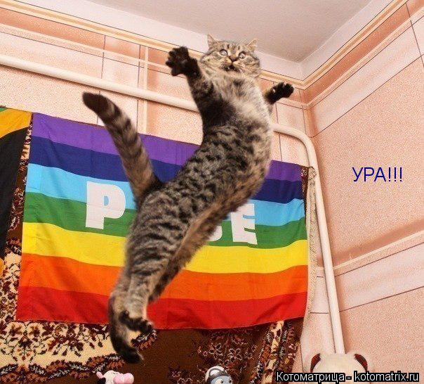 УРА!!!... Котоматрица: УРА!!!