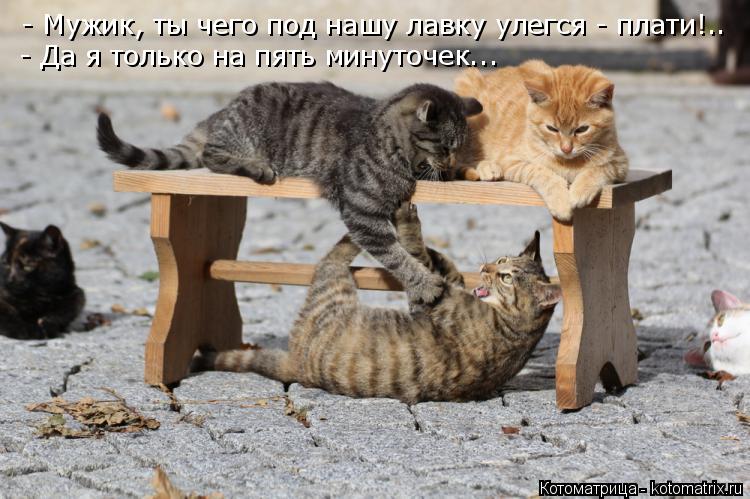 - Да я только на пять минуточек... - Мужик, ты чего под нашу лавку улегся - плати!..... Котоматрица: - Да я только на пять минуточек... - Мужик, ты чего под нашу лавку улегся - плати!..
