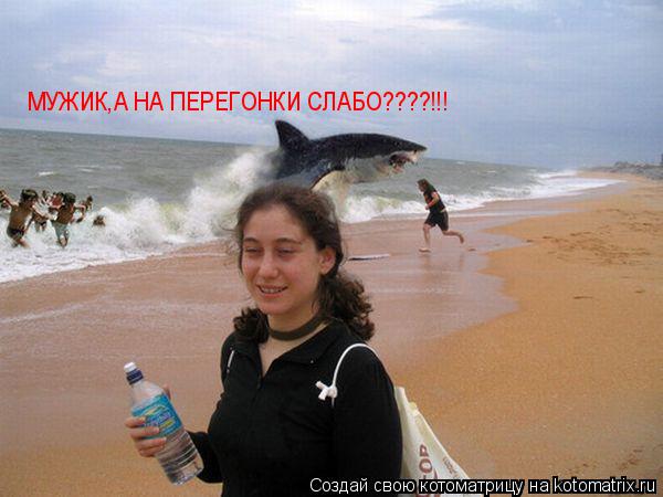 Котоматрица: МУЖИК,А НА ПЕРЕГОНКИ СЛАБО????!!!