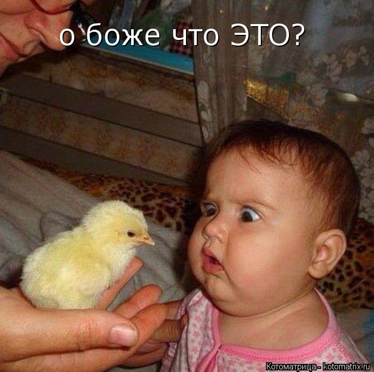 о боже что ЭТО?... Котоматрица: о боже что ЭТО?
