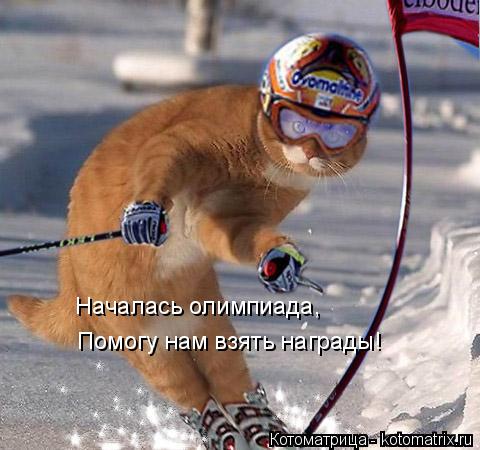 Началась олимпиада, Помогу нам взять награды!... Котоматрица: Началась олимпиада, Помогу нам взять награды!
