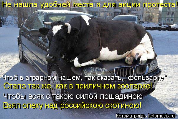 Не нашла удобней места я для акции протеста! Чтоб в аграрном нашем, так сказать, "фольварке" Чтобы вс... Котоматрица: Не нашла удобней места я для акции протеста! Чтоб в аграрном нашем, так сказать, "фольварке" Чтобы всяк с такою силой лошадиною Взял опеку на