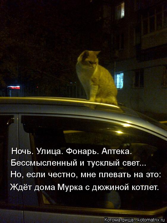 Чей стих аптека улица фонарь аптека Чей стих аптека улица фонарь аптека