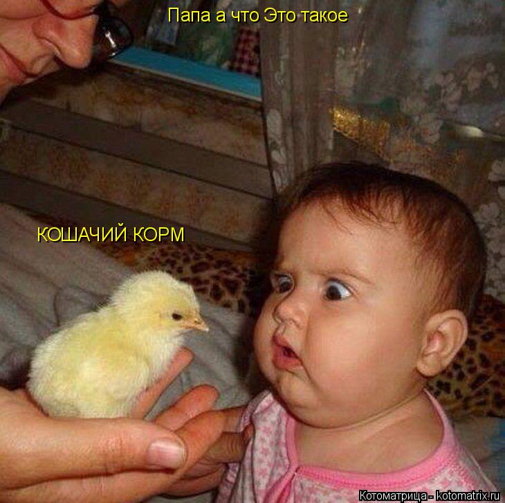 Папа а что Это такое КОШАЧИЙ КОРМ... Котоматрица: Папа а что Это такое КОШАЧИЙ КОРМ