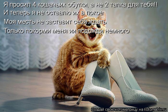 Я просил 4 кошачьих обутки, а не 2 тапка для тебя!! И теперь я не оставлю их в покое Моя месть не зас... Котоматрица: Я просил 4 кошачьих обутки, а не 2 тапка для тебя!! И теперь я не оставлю их в покое Моя месть не заставит себя ждать Только покорми меня ии под
