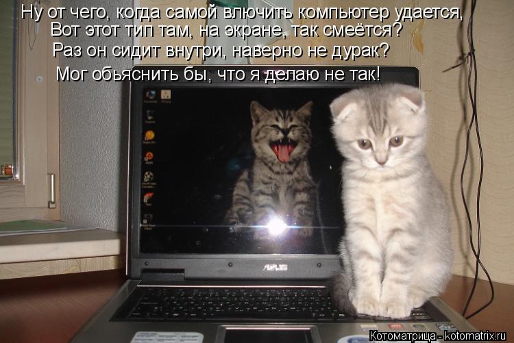 Ну от чего, когда самой влючить компьютер удается, Вот этот тип там, на экране, так смеётся? Раз он с... Котоматрица: Ну от чего, когда самой влючить компьютер удается, Вот этот тип там, на экране, так смеётся? Раз он сидит внутри, наверно не дурак? Мог обьясни