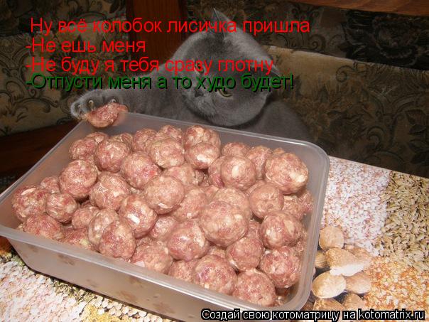 Ну всё колобок лисичка пришла -Не ешь меня -Не буду я тебя сразу глотну -Отпусти меня а то худо буд... Котоматрица: Ну всё колобок лисичка пришла -Не ешь меня -Не буду я тебя сразу глотну -Отпусти меня а то худо будет!