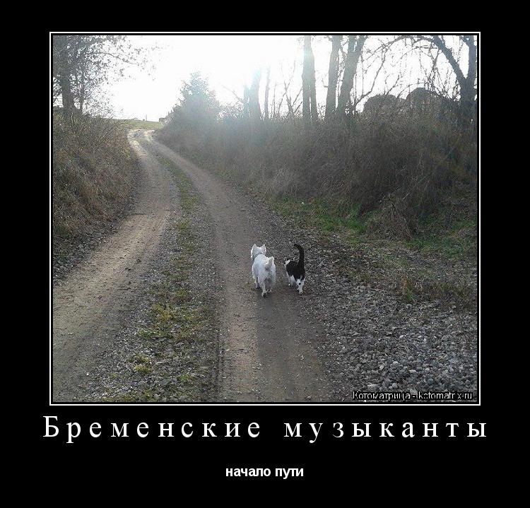 Бременские музыканты начало пути... Котоматрица: Бременские музыканты начало пути