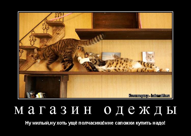 магазин одежды Ну милый,ну хоть ущё полчасика!мне сапожки купить надо!... Котоматрица: магазин одежды Ну милый,ну хоть ущё полчасика!мне сапожки купить надо!