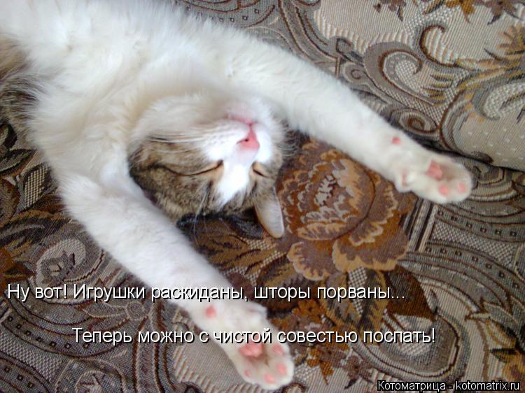 Ну вот! Игрушки раскиданы, шторы порваны... Теперь можно с чистой совестью поспать!... Котоматрица: Ну вот! Игрушки раскиданы, шторы порваны... Теперь можно с чистой совестью поспать!