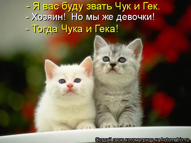 - Я вас буду звать Чук и Гек. - Хозяин! Но мы же девочки! - Тогда Чука и Гека!... Котоматрица: - Я вас буду звать Чук и Гек. - Хозяин! Но мы же девочки! - Тогда Чука и Гека!