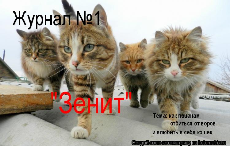 Журнал №1 "Зенит" Тема: как пацанам отбиться от воров и влюбить в себя кошек... Котоматрица: Журнал №1 "Зенит" Тема: как пацанам отбиться от воров и влюбить в себя кошек
