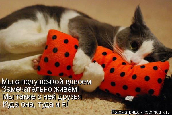 Мы с подушечкой вдвоем Замечательно живем! Мы такие с ней друзья Куда она, туда и я!... Котоматрица: Мы с подушечкой вдвоем Замечательно живем! Мы такие с ней друзья Куда она, туда и я!