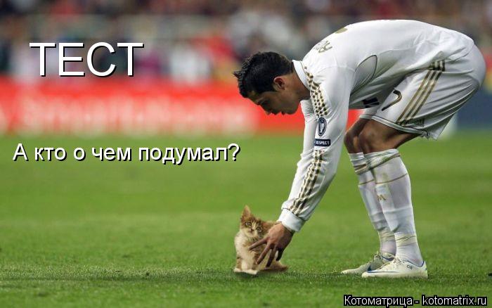 Котоматрица: ТЕСТ А кто о чем подумал?