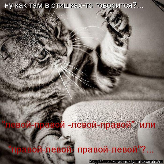 ну как там в стишках-то говорится?... "левой-правой -левой-правой" или "правой-левой- правой-левой"?... Котоматрица: ну как там в стишках-то говорится?... "левой-правой -левой-правой" или "правой-левой- правой-левой"?...