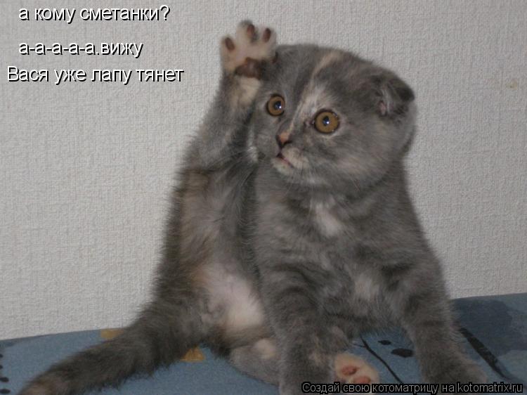 а кому сметанки? а-а-а-а-а.вижу Вася уже лапу тянет... Котоматрица: а кому сметанки? а-а-а-а-а.вижу Вася уже лапу тянет