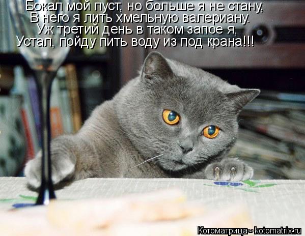 Бокал мой пуст, но больше я не стану, В него я лить хмельную валериану. Уж третий день в таком запое ... Котоматрица: Бокал мой пуст, но больше я не стану, В него я лить хмельную валериану. Уж третий день в таком запое я, Устал, пойду пить воду из под крана!!!