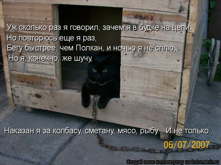Но повторюсь еще я раз, Бегу быстрее, чем Полкан, и ночью я не сплю, Но я, конечно, же шучу, Уж ско... Котоматрица: Но повторюсь еще я раз, Бегу быстрее, чем Полкан, и ночью я не сплю, Но я, конечно, же шучу, Уж сколько раз я говорил, зачем я в будке на цепи. На