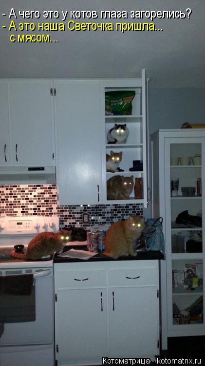 - А чего это у котов глаза загорелись? - А это наша Светочка пришла... с мясом...... Котоматрица: - А чего это у котов глаза загорелись? - А это наша Светочка пришла... с мясом...