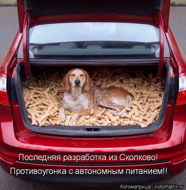 Противоугонка с автономным питанием!! Последняя разработка из Сколково!... Котоматрица: Противоугонка с автономным питанием!! Последняя разработка из Сколково!