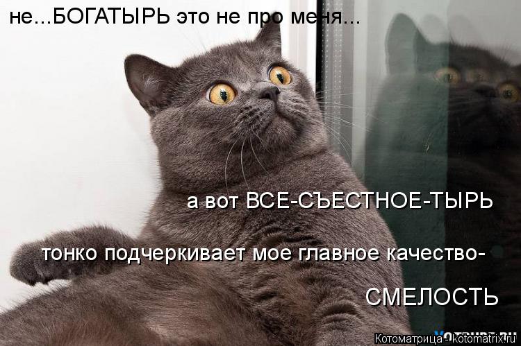 не...БОГАТЫРЬ это не про меня... а вот ВСЕ-СЪЕСТНОЕ-ТЫРЬ тонко подчеркивает мое главное качество- СМ... Котоматрица: не...БОГАТЫРЬ это не про меня... а вот ВСЕ-СЪЕСТНОЕ-ТЫРЬ тонко подчеркивает мое главное качество- СМЕЛОСТЬ