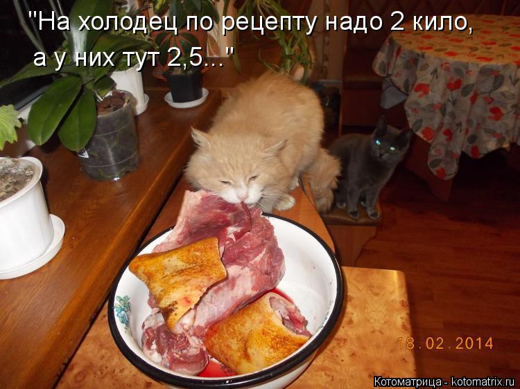 Котоматрица: "На холодец по рецепту надо 2 кило, а у них тут 2,5..."