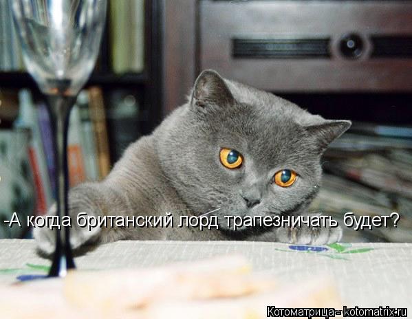 -А когда британский лорд трапезничать будет?... Котоматрица: -А когда британский лорд трапезничать будет?