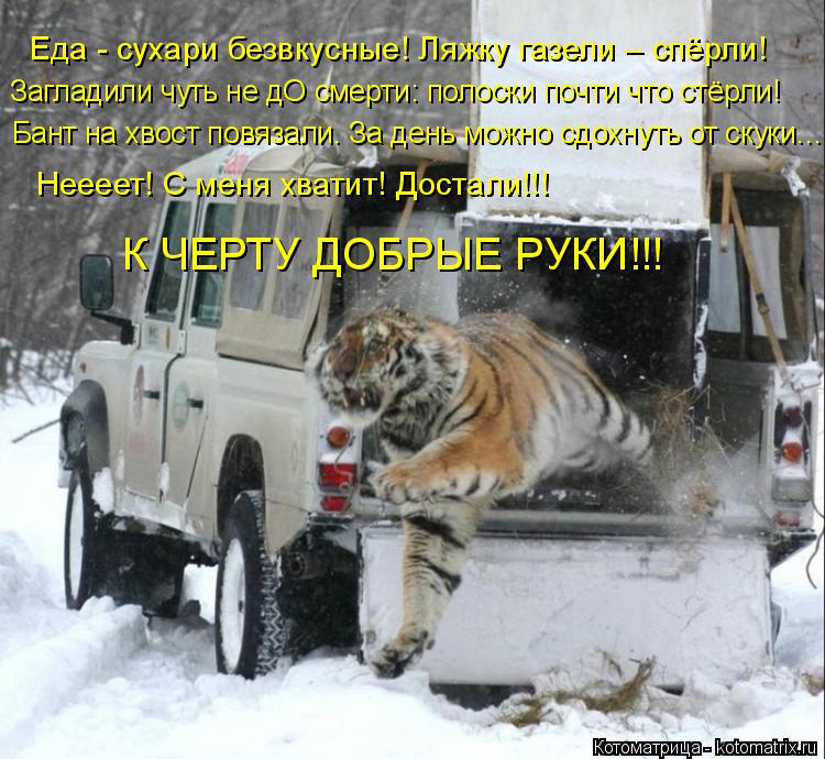 Еда - сухари безвкусные! Ляжку газели – спёрли! Загладили чуть не дО смерти: полоски почти что стёрли... Котоматрица: Еда - сухари безвкусные! Ляжку газели – спёрли! Загладили чуть не дО смерти: полоски почти что стёрли! Бант на хвост повязали. За день можно с