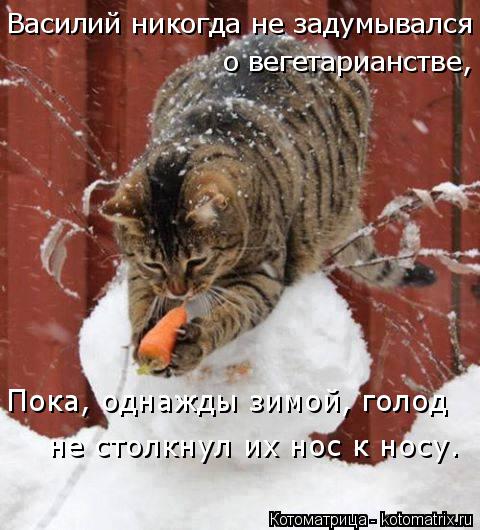 Василий никогда не задумывался о вегетарианстве, не столкнул их нос к носу. Пока, однажды зимой, голо... Котоматрица: Василий никогда не задумывался о вегетарианстве, не столкнул их нос к носу. Пока, однажды зимой, голод