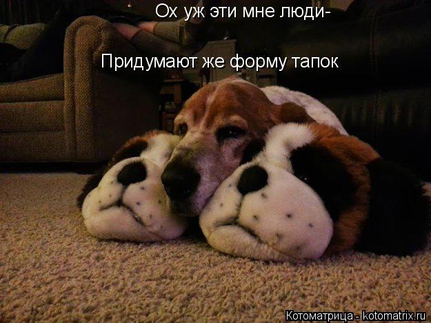 Ох уж эти мне люди- Придумают же форму тапок... Котоматрица: Ох уж эти мне люди- Придумают же форму тапок