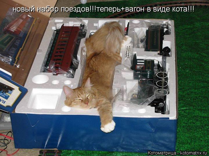 новый набор поездов!!!теперь+вагон в виде кота!!!... Котоматрица: новый набор поездов!!!теперь+вагон в виде кота!!!