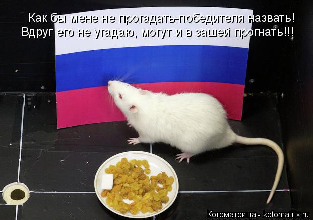 Как бы мене не прогадать-победителя назвать! Вдруг его не угадаю, могут и в зашей прогнать!!!... Котоматрица: Как бы мене не прогадать-победителя назвать! Вдруг его не угадаю, могут и в зашей прогнать!!!