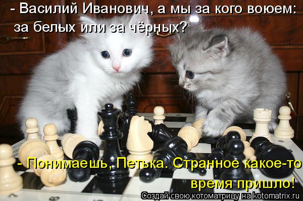 - Василий Иванович, а мы за кого воюем: за белых или за чёрных? - Понимаешь, Петька. Странное какое-... Котоматрица: - Василий Иванович, а мы за кого воюем: за белых или за чёрных? - Понимаешь, Петька. Странное какое-то время пришло!