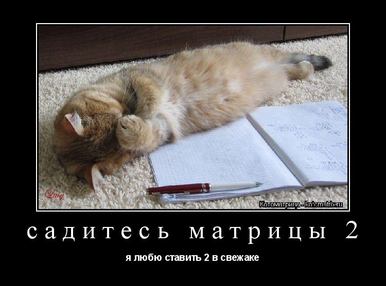 Котоматрица: садитесь матрицы 2 я любю ставить 2 в свежаке