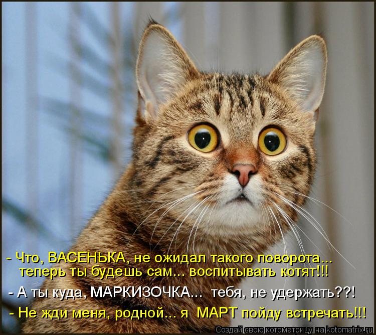 - Что, ВАСЕНЬКА, не ожидал такого поворота... теперь ты будешь сам... воспитывать котят!!! - А ты куд... Котоматрица: - Что, ВАСЕНЬКА, не ожидал такого поворота... теперь ты будешь сам... воспитывать котят!!! - А ты куда, МАРКИЗОЧКА... тебя, не удержать??! - Не жди ме