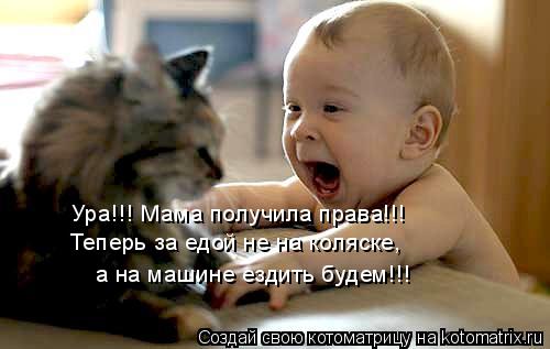 Котоматрица: Ура!!! Мама получила права!!! Теперь за едой не на коляске,  а на машине ездить будем!!!