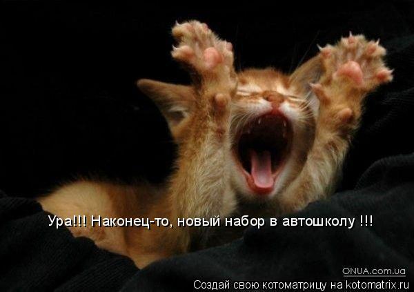 Котоматрица: Ура!!! Наконец-то, новый набор в автошколу !!!