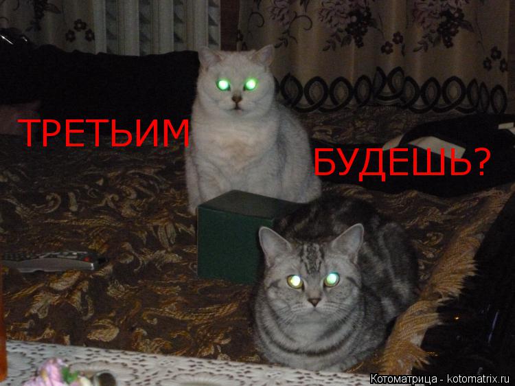 Котоматрица: ТРЕТЬИМ БУДЕШЬ?
