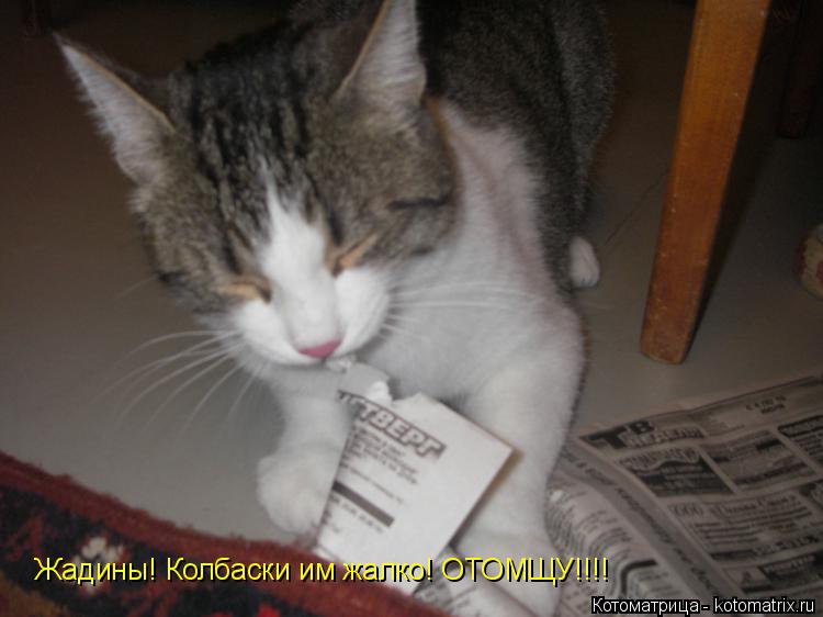 Котоматрица: Жадины! Колбаски им жалко! ОТОМЩУ!!!!