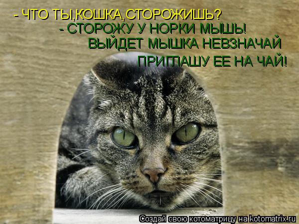 - ЧТО ТЫ,КОШКА,СТОРОЖИШЬ? - СТОРОЖУ У НОРКИ МЫШЬ! ВЫЙДЕТ МЫШКА НЕВЗНАЧАЙ ПРИГЛАШУ ЕЕ НА ЧАЙ!... Котоматрица: - ЧТО ТЫ,КОШКА,СТОРОЖИШЬ? - СТОРОЖУ У НОРКИ МЫШЬ! ВЫЙДЕТ МЫШКА НЕВЗНАЧАЙ ПРИГЛАШУ ЕЕ НА ЧАЙ!