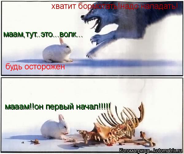 Котоматрица: маам,тут..это...волк... будь осторожен хватит бормотать!надо нападать! мааам!!он первый начал!!!!!