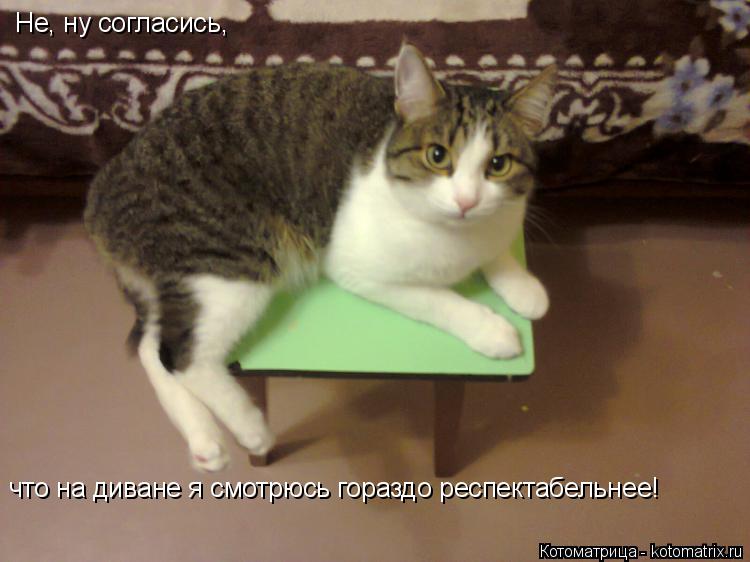Не, ну согласись, что на диване я смотрюсь гораздо респектабельнее!... Котоматрица: Не, ну согласись, что на диване я смотрюсь гораздо респектабельнее!
